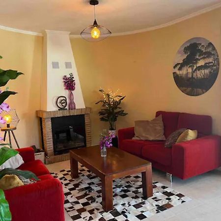 Villa Casa Joli In Oliva With Private Pool And Stunning Views Екстер'єр фото